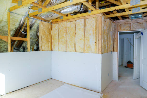Best Geographic-Specific Insulation Services in Muscatine, IA