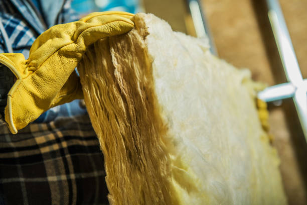 Best Spray Foam Insulation in Muscatine, IA