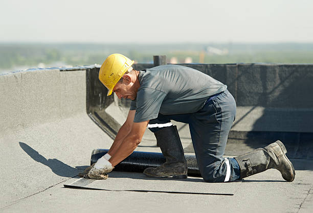 Best Residential Insulation in Muscatine, IA