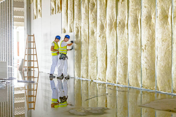 Best Blown-in Insulation in Muscatine, IA
